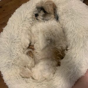 Meet your Posher, Charlotte